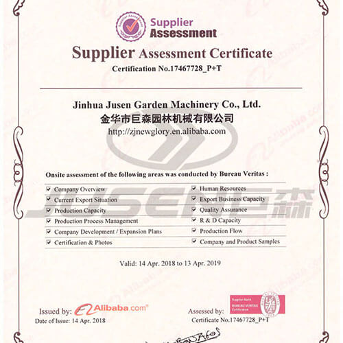 Celebrate Our Company's Access To "Alibaba Assessed Supplier" "Alibaba supplier Asses